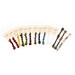 American Sampler cross-stitch floss set with multiple thread colors and needles, isolated on a white background. 