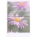 Color chart for embroidery floss with labeled thread colors and a flower illustration.