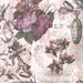 8" x 8" swatch of this fabric