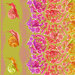 An 8 by 8 swatch of the fabric.