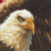 A zoomed in part of the panel measuring 8 by 8 showing the eagle.