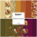 Benartex “Amber & Spice” fabric collection swatch collage in autumn colors.
