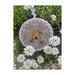 Beehive cross stitch pattern laid in a bed of flowers.