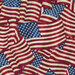 Stonehenge Stars & Stripes 7 20158-49 by Northcott Fabrics at Shabby Fabrics