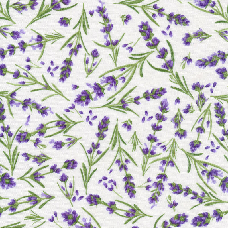 lavender flowers tossed on a white fabric background