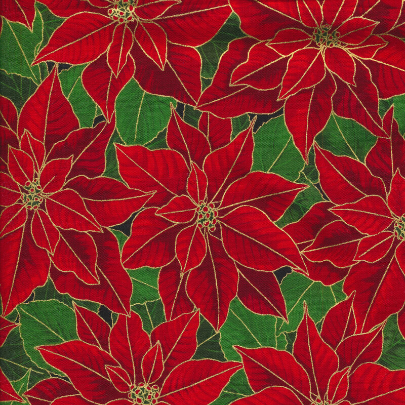 Poinsettias on green.