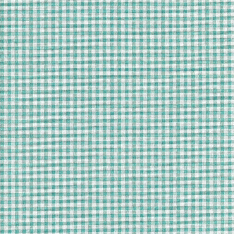 Fabric of a small aqua gingham print