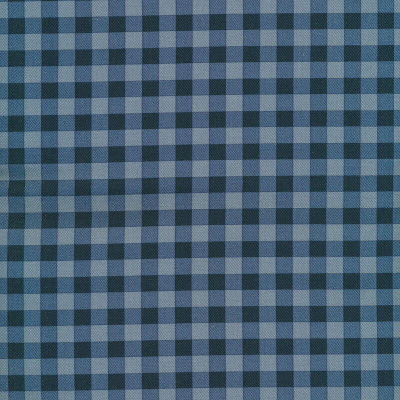 light blue and dark blue gingham 