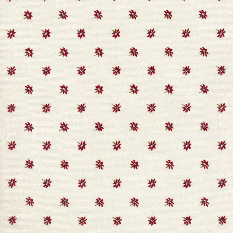 tossed poinsettia flowers on a cream background