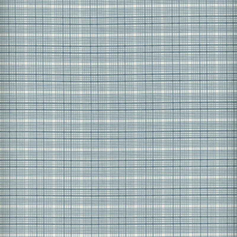 Fabric with a lovely light blue and cream plaid print.