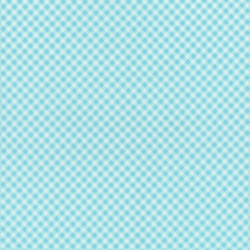 Aqua and white gingham fabric.