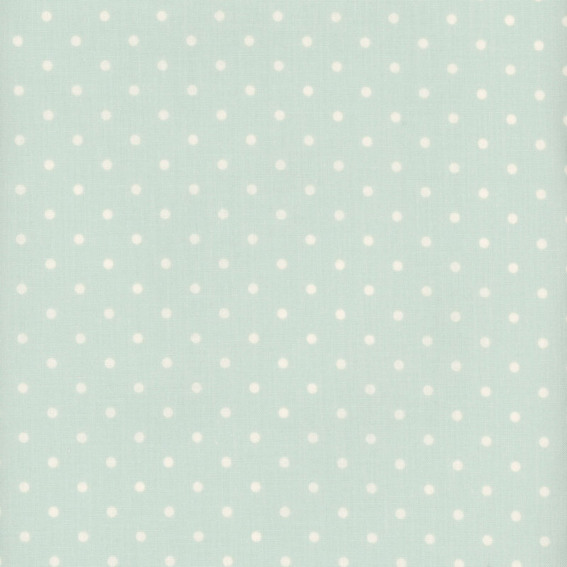 cream polka dots on a pale aqua fabric