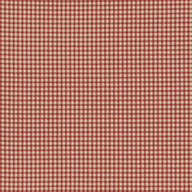 Red and white gingham fabric