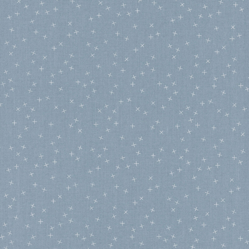 A muted light blue fabric with small white X's scattered all over.