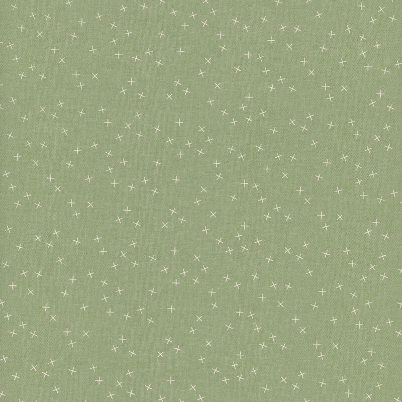 Light green fabric with small white X's scattered throughout