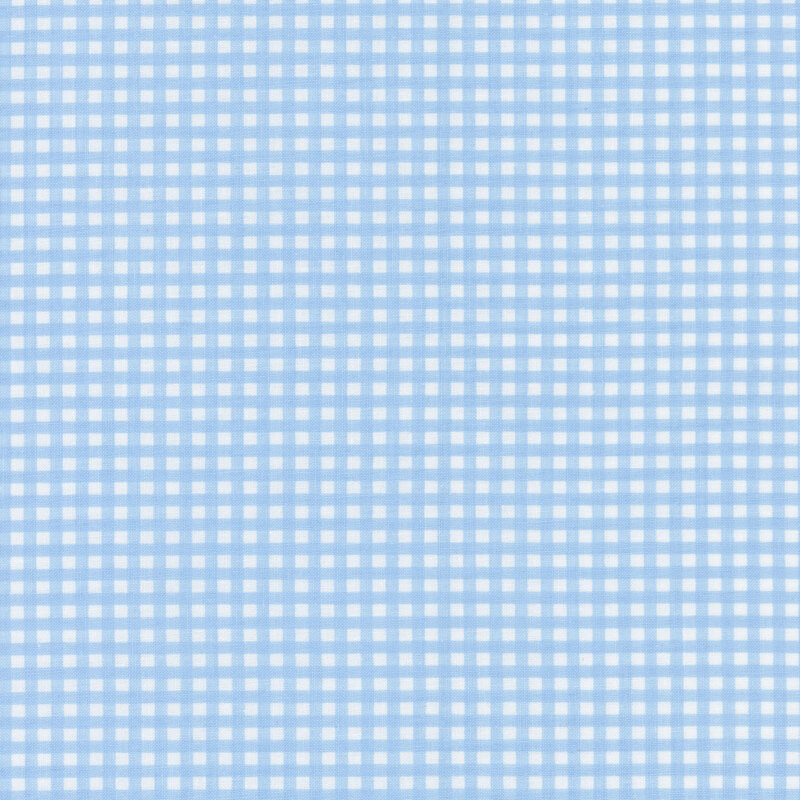 Baby blue and white gingham fabric.