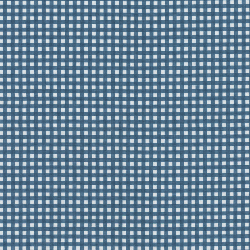 Denim and white gingham fabric.