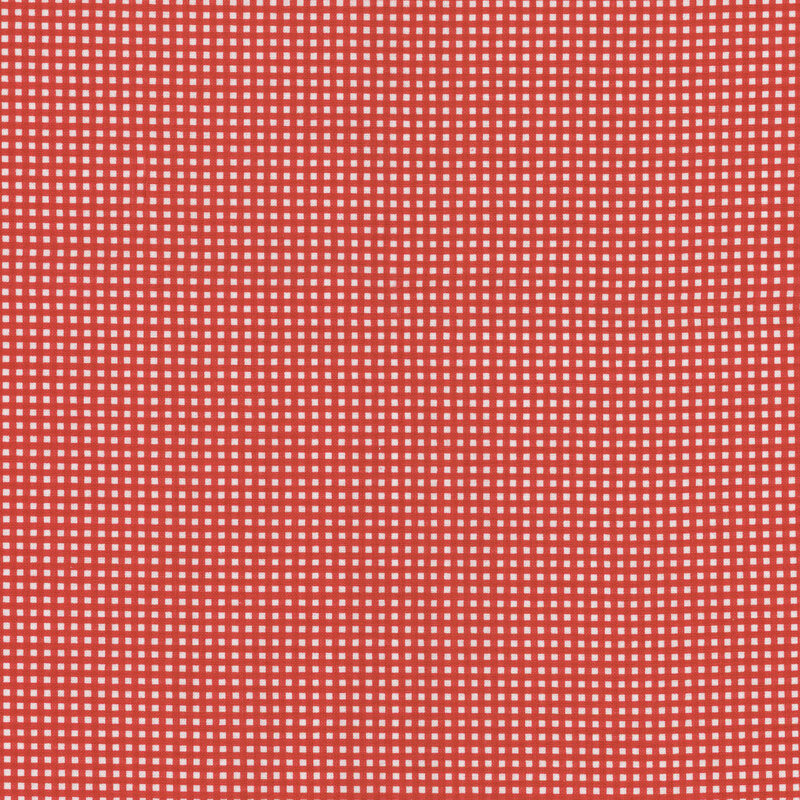 Red and white micro gingham fabric.