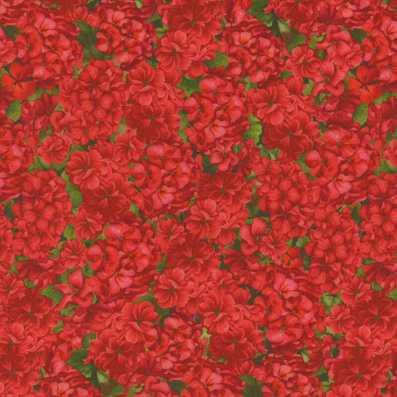 Red fabric packed with geraniums with their leaves peeking through the spaces from the background.