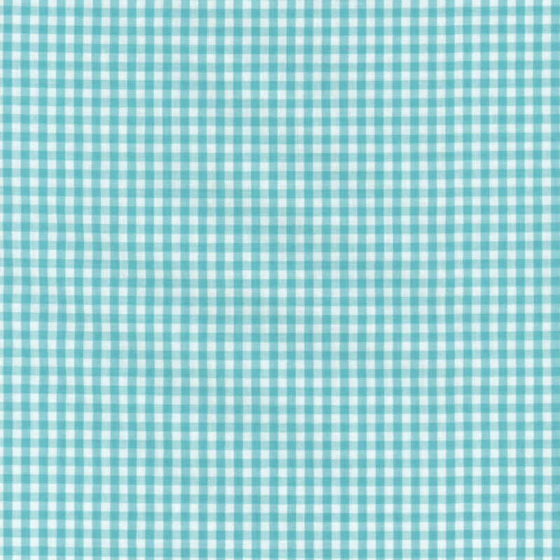 Aqua and white gingham fabric.