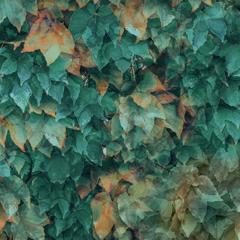 Textured wall pattern of overlapping teal and orange leaves, creating a cooling and natural appearance.