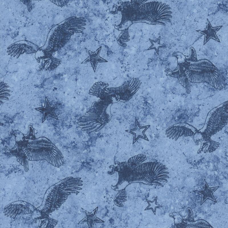 Pattern of flying eagles surrounded by darker blue stars on a baby blue background.