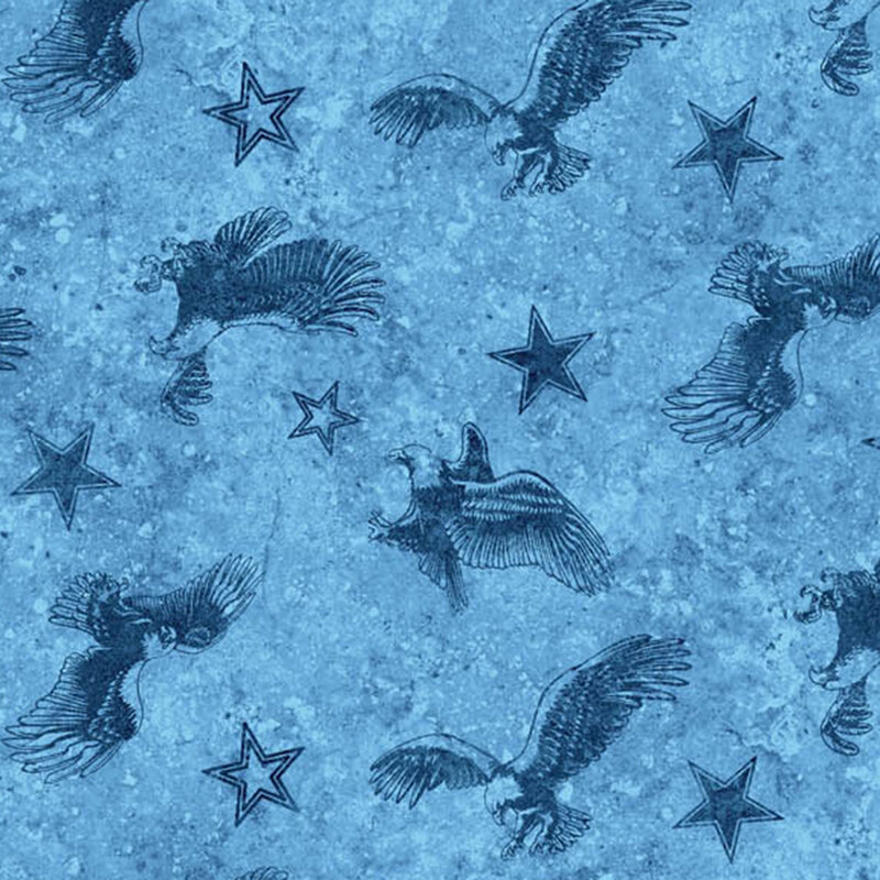 Pattern of flying eagles surrounded by darker blue stars on a baby blue background.