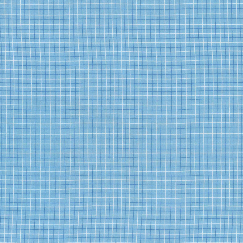 Light blue fabric with a grid pattern of white and darker blue lines.