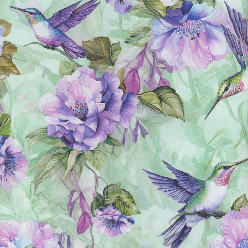 A colorful illustration featuring a hummingbird amidst purple flowers and green leaves.