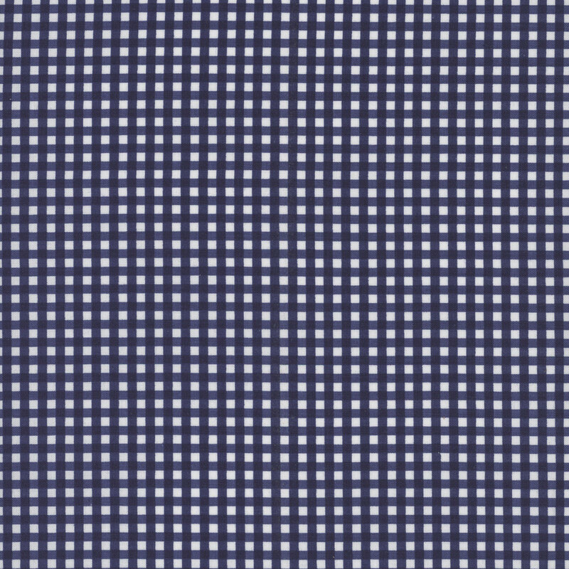 Navy and white gingham fabric.