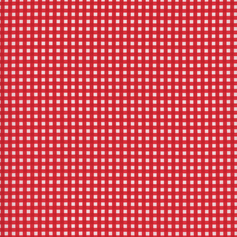 Red and white gingham fabric.