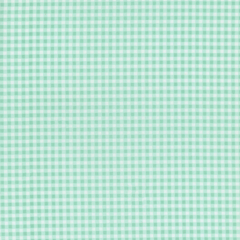 White and bright aqua gingham fabric.