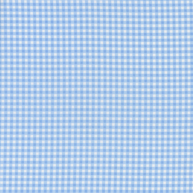 White and light blue gingham fabric.