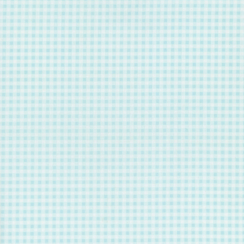 White and aqua gingham fabric.