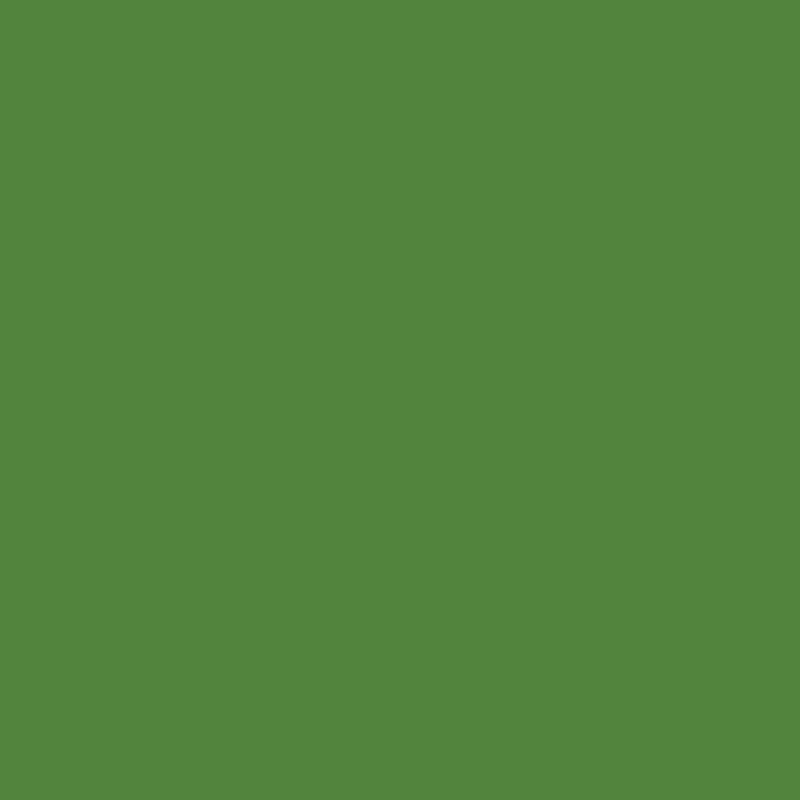 Solid green background with a medium shade of green, creating a uniform and simple appearance.