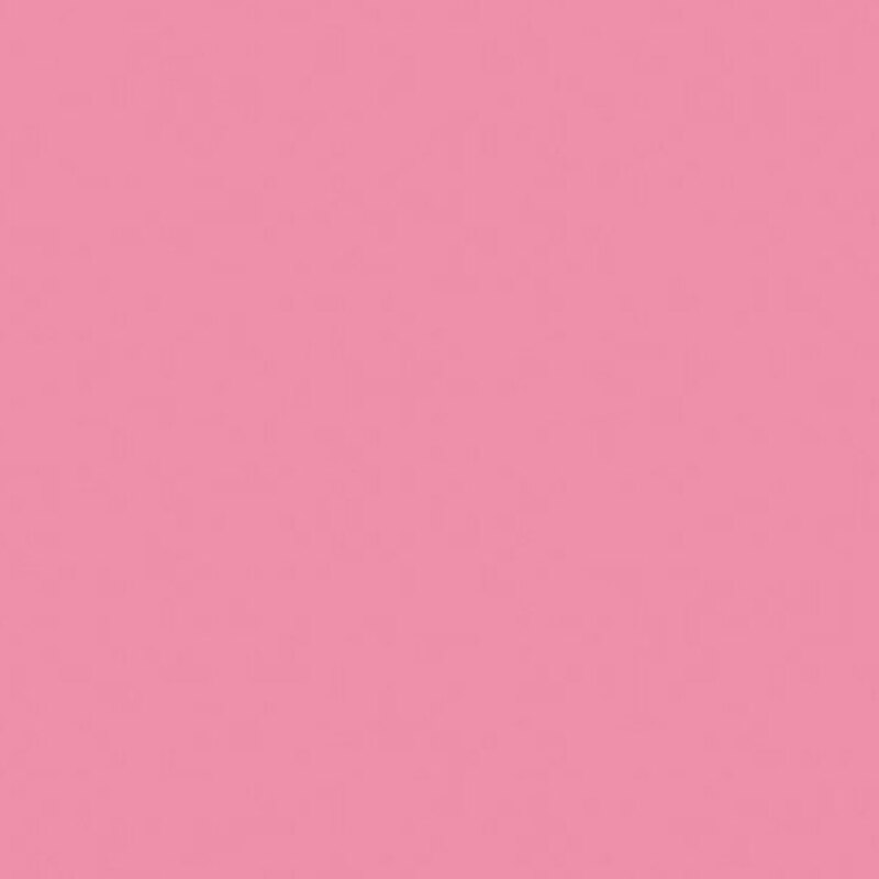 Solid pink background with a smooth, matte texture.