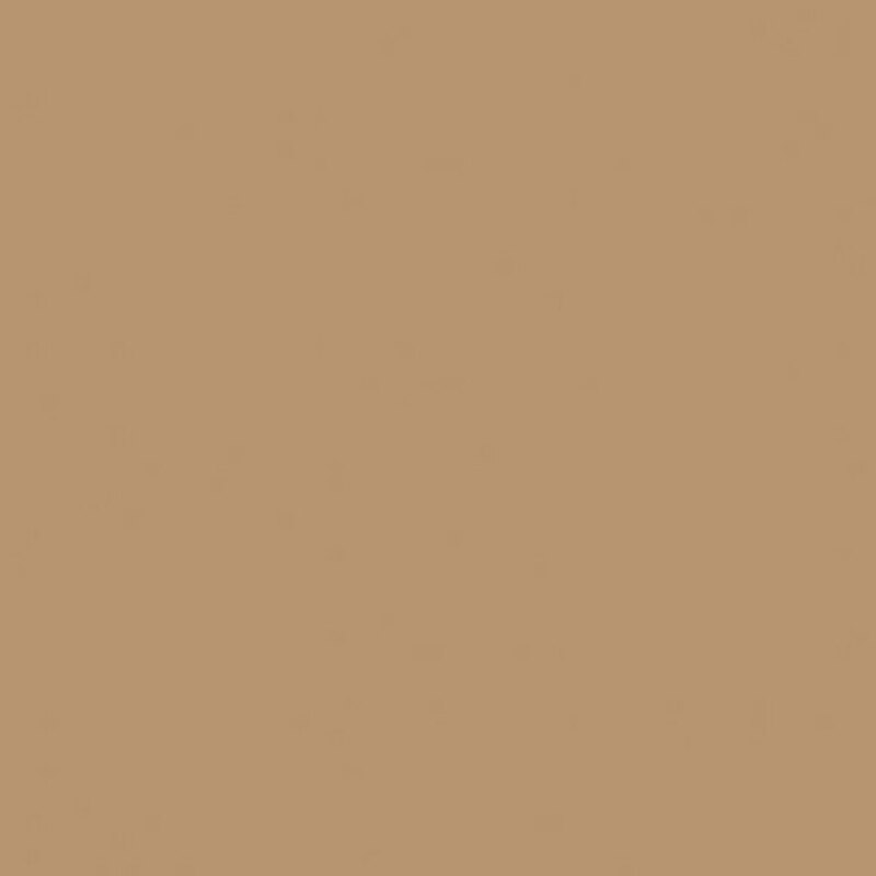 Solid light brown fabric swatch.