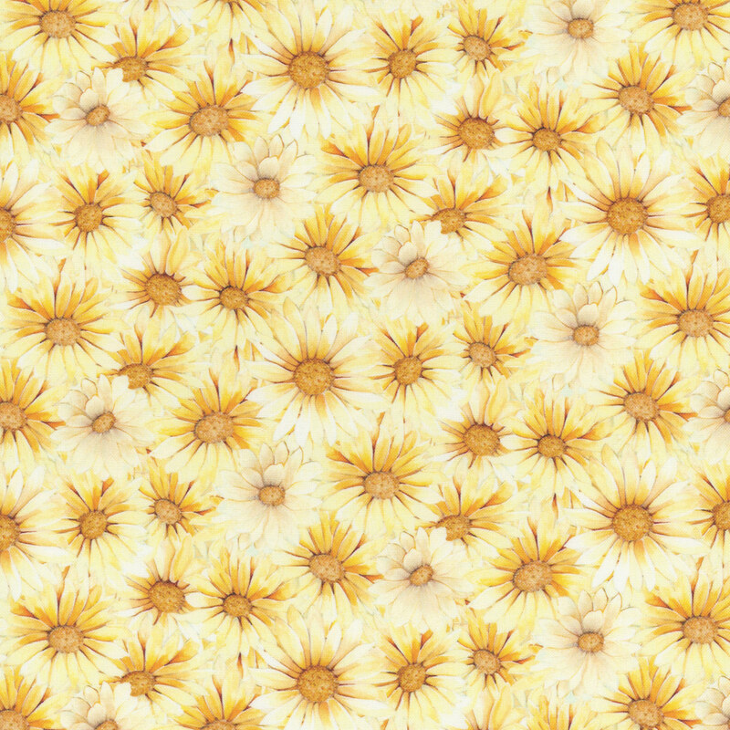 Heads of yellow daisies in varying shades layered and packed tightly across the background.