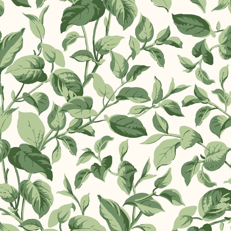 Sprawling leaves and vines on a cream background.