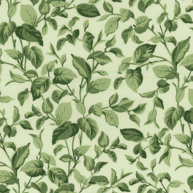 Sprawling leaves and vines on a light green fabric.