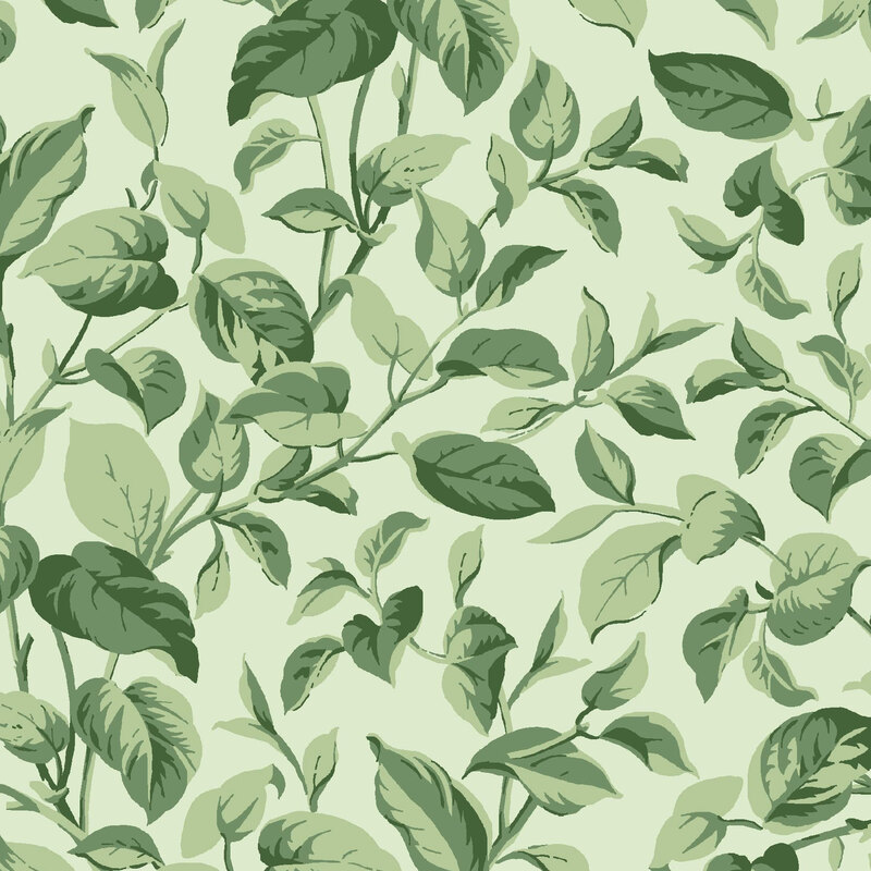 Sprawling leaves and vines on a light green background.