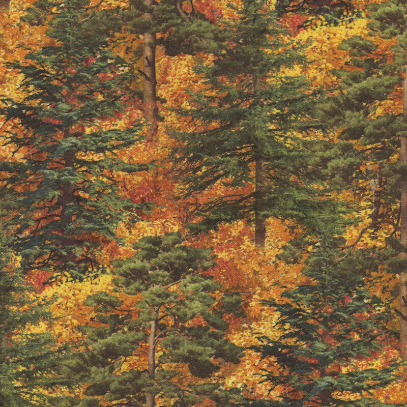 Trees scattered on an orange background.