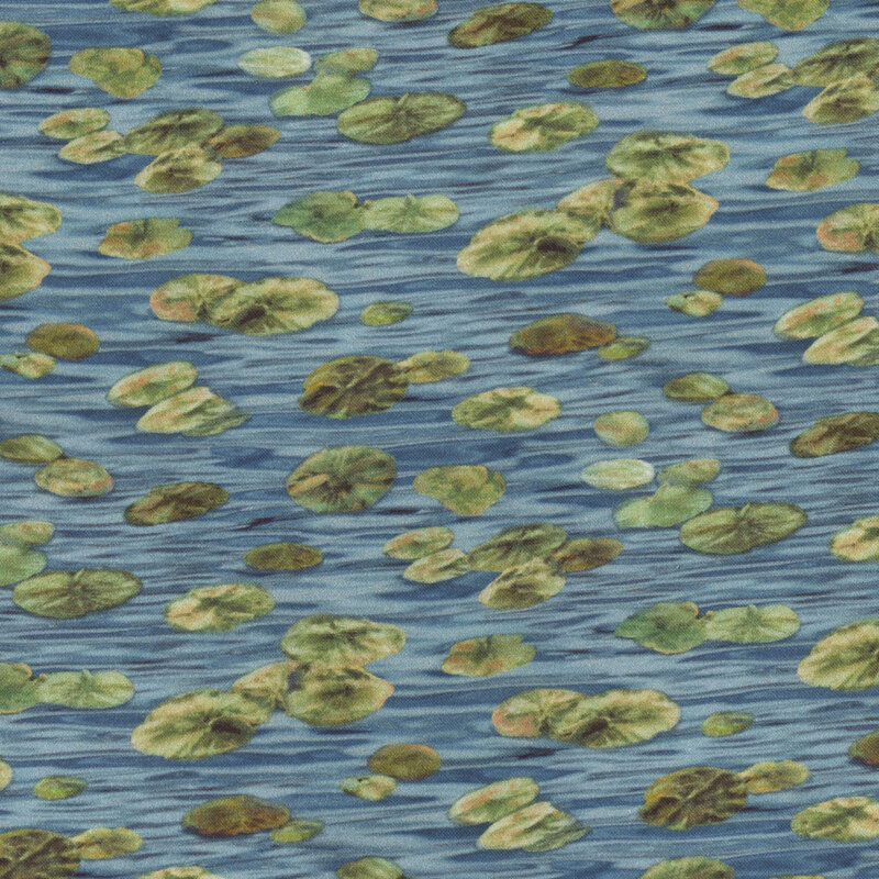 Scattered lily pads floating on water.