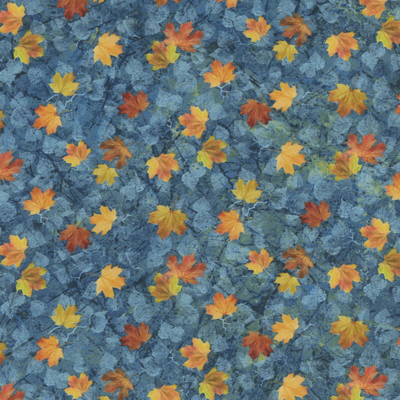 Autumn leaves scattered on a blue background.