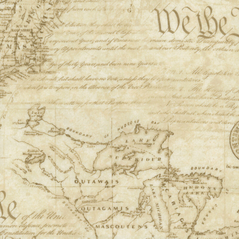 US constitution article 1 fabric on a cream background with tonal words.