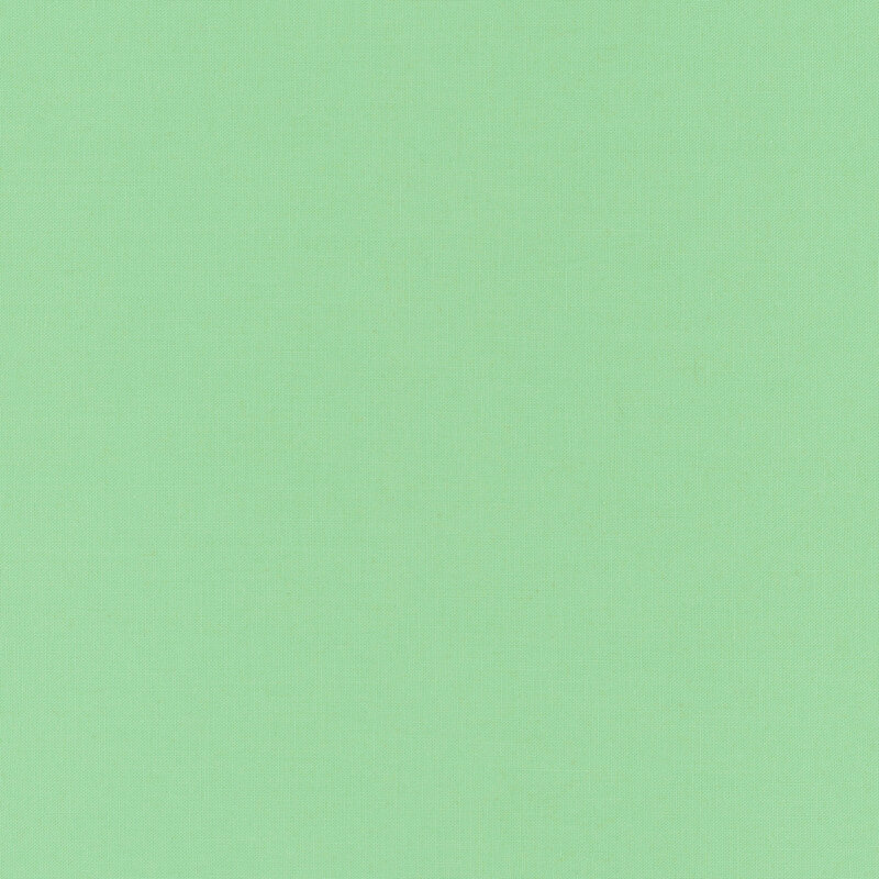 Solid mint green fabric swatch.