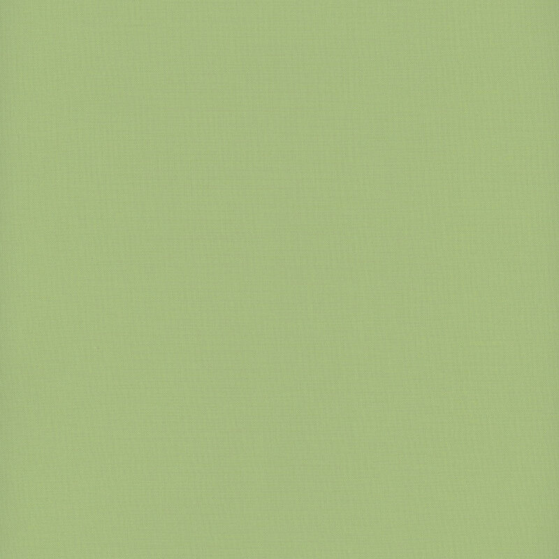 Solid vegetable green fabric swatch.