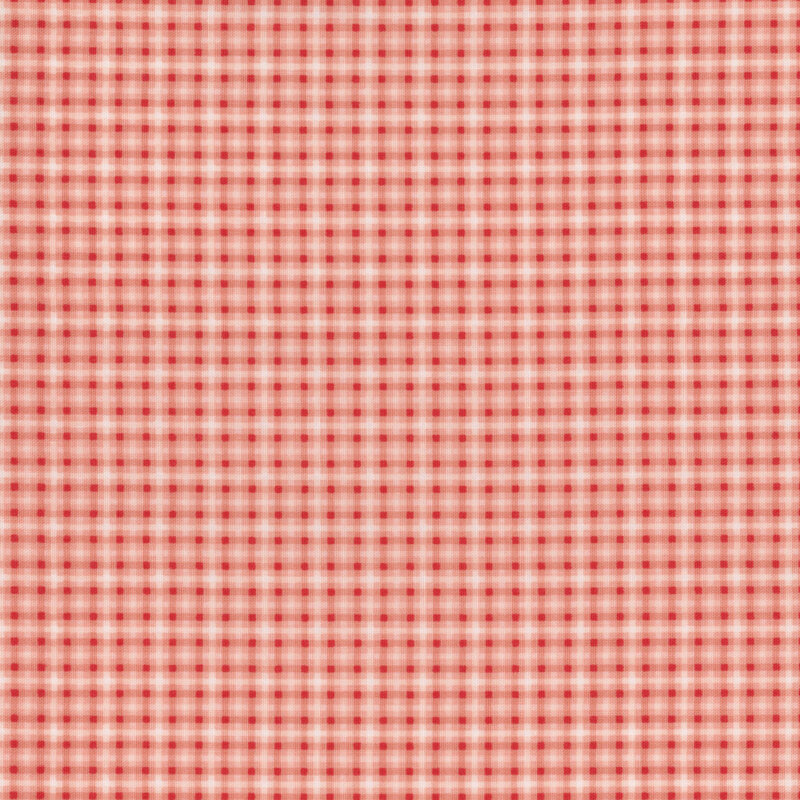 Red and white checkered fabric pattern, resembling a classic picnic or tablecloth design.