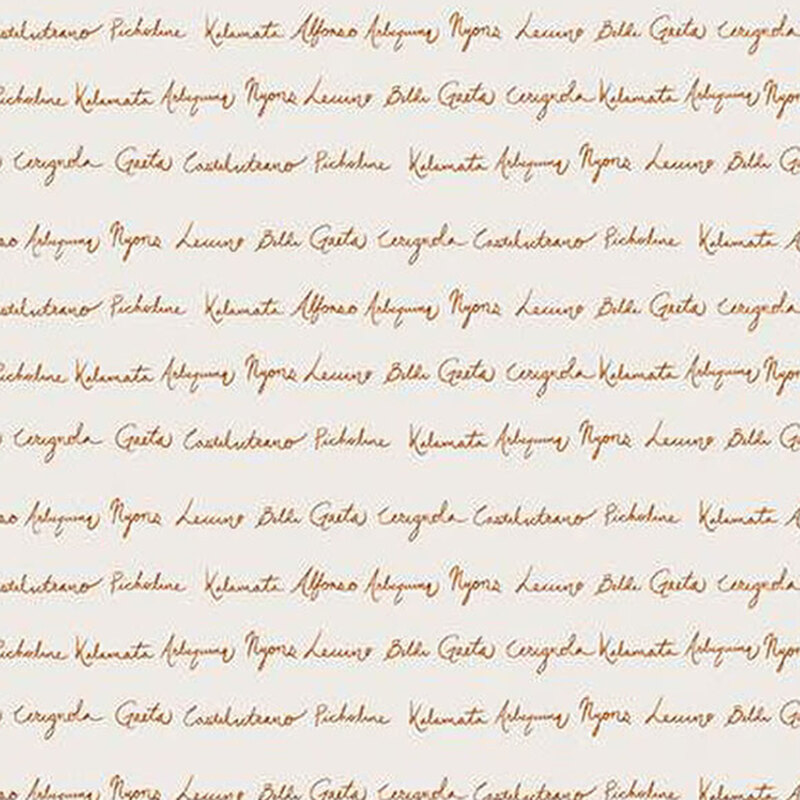 fabric pattern of orange words on a white background