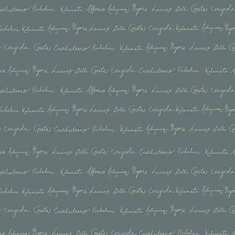 fabric pattern of white words on a blue background